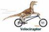 velociraptor.jpeg