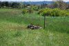 DSC_0169.jpg
