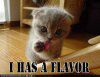 funny-pictures-kitten-has-flavor.jpg