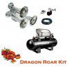dragon roar kit.JPG