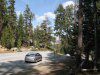 Yosemite_Woods.JPG