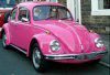 sarah_pink_beetle.jpg
