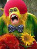 orangutan-clown.jpg