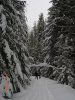 Snowshoeing 2.jpg