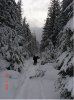 Snowshoeing 3.jpg