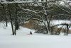 Sledding_ponderingUphillWalk_sm.jpg