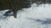 Snow trapped Prius.jpg
