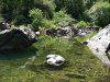 Bear River1.jpg