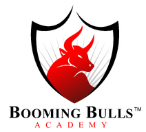 Booming Bulls Academy