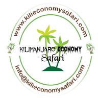KilieconomySafari