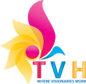 thevisualhouse