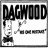 Dogwood2