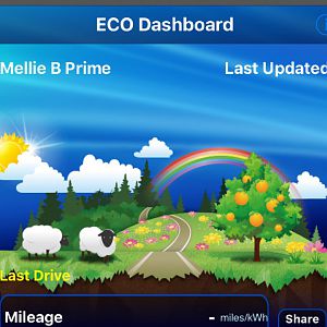 Eco Dashboard while loading data