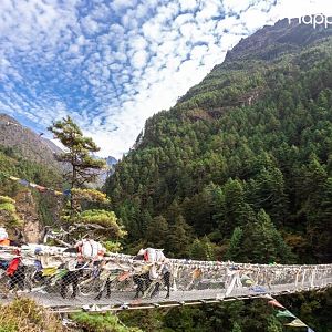 Travel Best destinations With HappyOuting