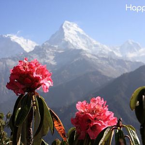 Travel Best destinations With HappyOuting
