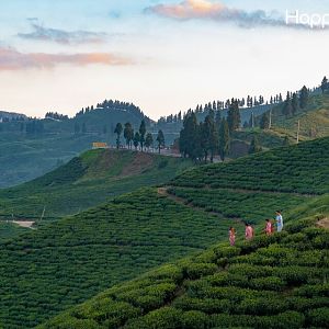 Travel Best destinations With HappyOuting