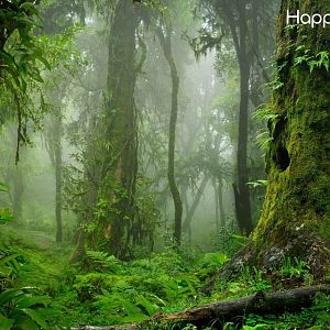 Travel Best destinations With HappyOuting