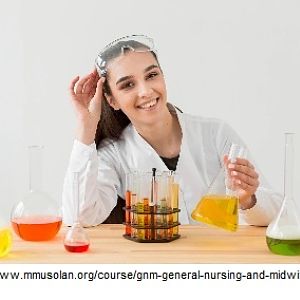 Nursing course gnm fees