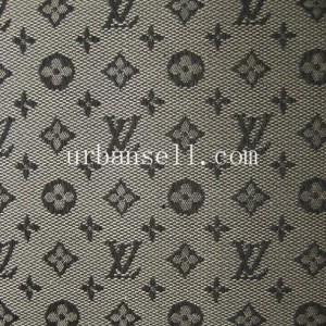 Louis Vuitton fabric for car
