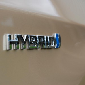 DMVP's 2010 Prius (Sandy Beach Metallic)