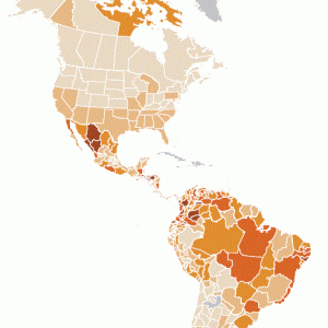 Homicide_rate_by_subnational_level-Americas.GIF