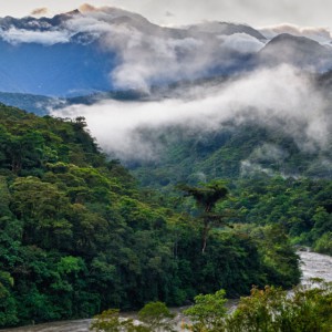 Jungle River Valley in the Cloud Forest 2MG-.jpg