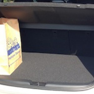 Prius c Grocery Bag - Cropped.jpg