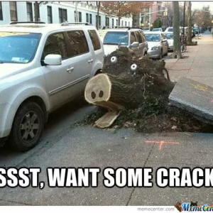 Psst, want some crack.PNG