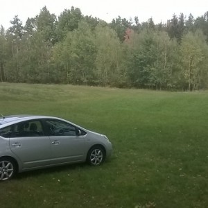 Prius_in_the_woods